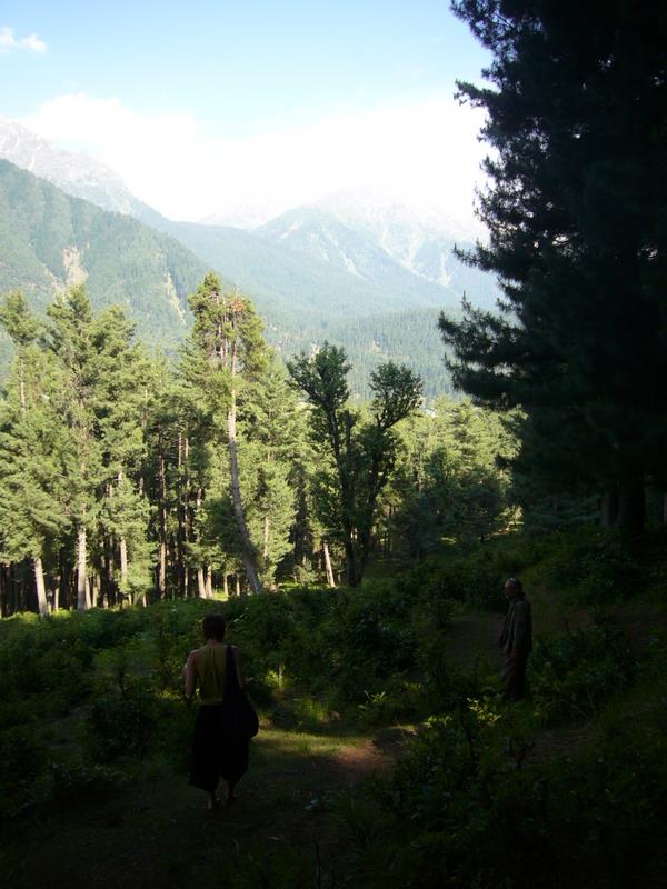 Travel - India - Kashmir - Pahalgam - Around Bentes Lodge